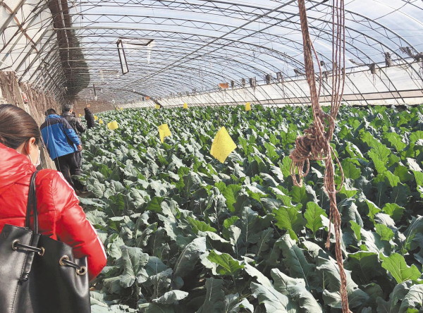 1545714240567477029.png 1545714240567477029.png