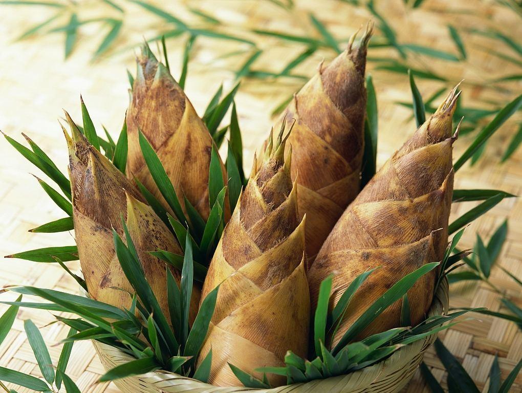 竹荪1.jpg 竹荪1.jpg